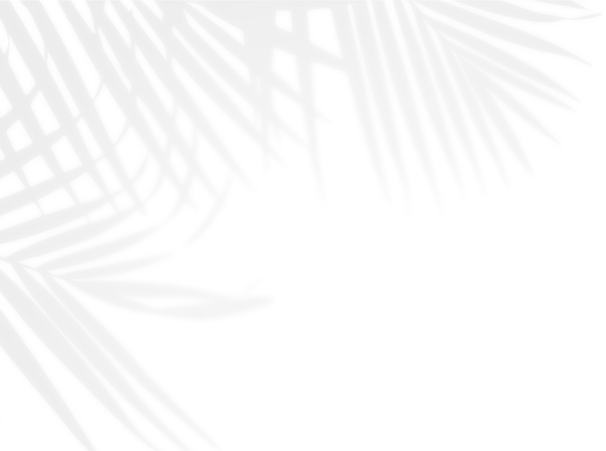 hakkimizda-shadown