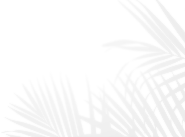 hakkimizda-shadown